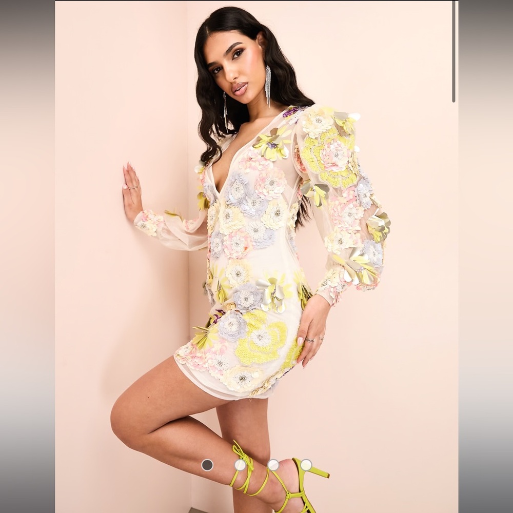 New With Tags ASOS LUXE v-neck sheer mini dress